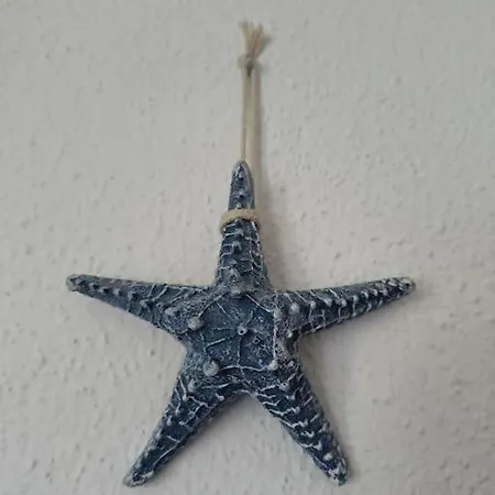 Luisa D 维拉西米乌斯