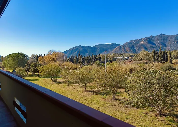 Luisa D 빌라시미우스