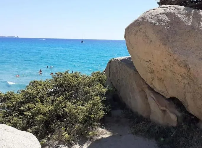 Luisa D 빌라시미우스