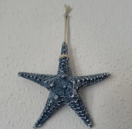 Luisa D 빌라시미우스